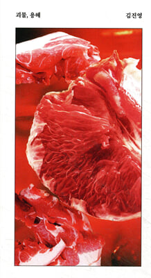 괴물, 용혜 [전자자료] : 김진영 경장편