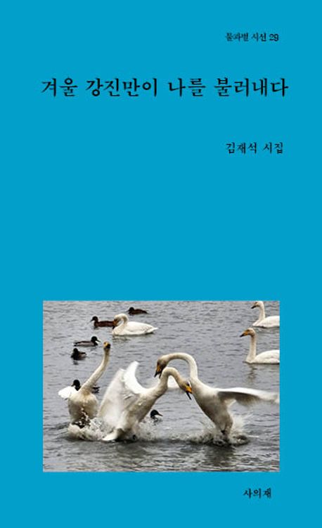 겨울 강진만이 나를 불러내다 : 김재석 시집