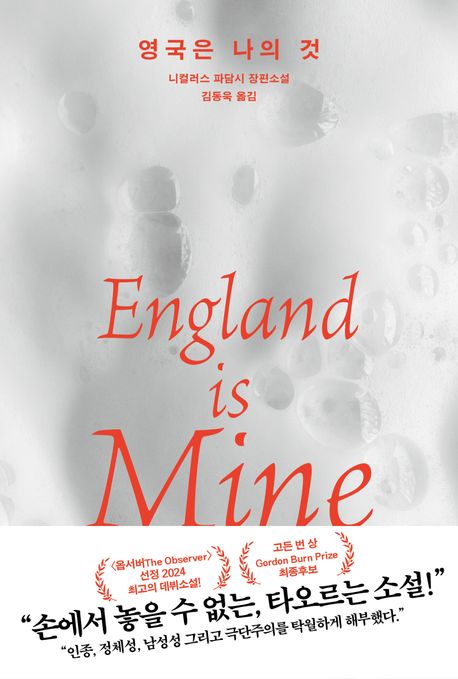 영국은 나의 것 : 니컬러스 파담시 장편소설