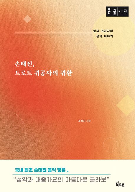 손태진, 트로트 귀공자의 귀환 : 빛의 귀공자의 음악 이야기 : 큰글자책