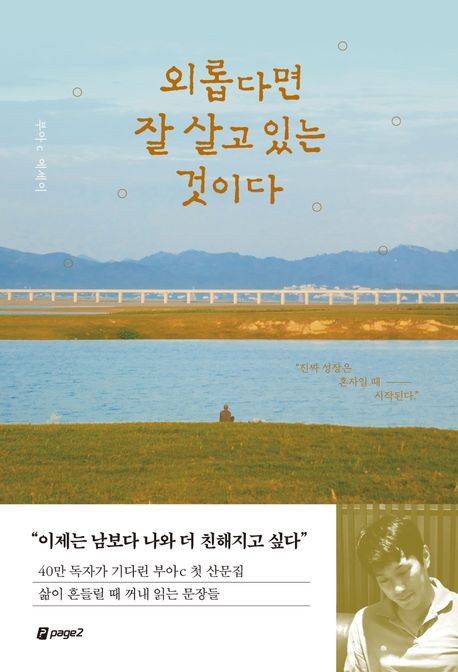 외롭다면 잘 살고 있는 것이다 : 부아c 에세이