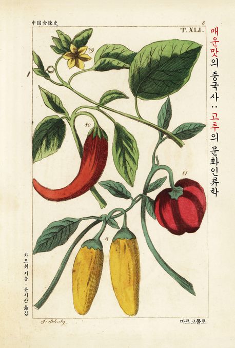 매운맛의 중국사 : 고추의 문화인류학