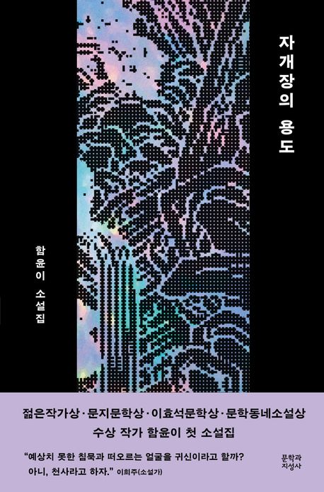 자개장의 용도 : 함윤이 소설집