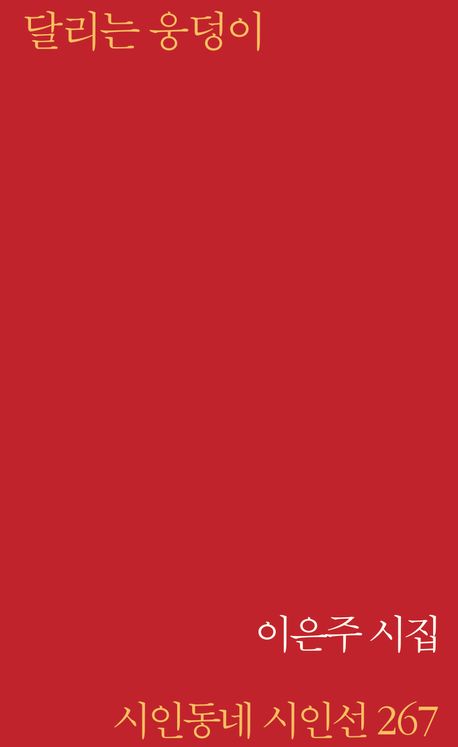 달리는 웅덩이 : 이은주 시집