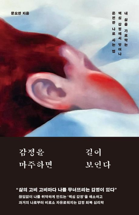 감정을 마주하면 길이 보인다 : 내 삶을 가로막는 핵심 감정에서 벗어나 온전한 나로 사는 법