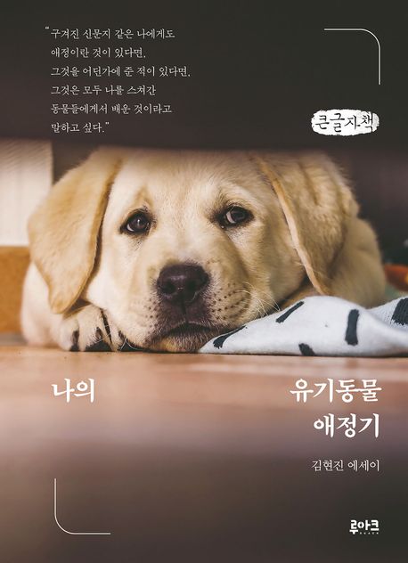 나의 유기동물 애정기 : 김현진 에세이 : 큰글자책