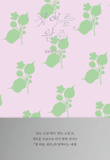 첫 여름, 완주 : 김금희 장편소설