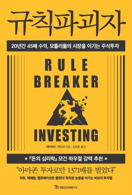 규칙파괴자 : 20년간 45배 수익, 모틀리풀의 시장을 이기는 주식투자