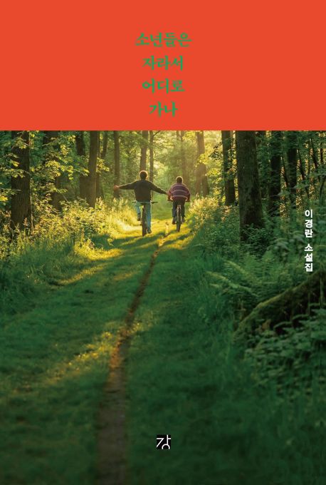 소년들은 자라서 어디로 가나 : 이경란 소설집