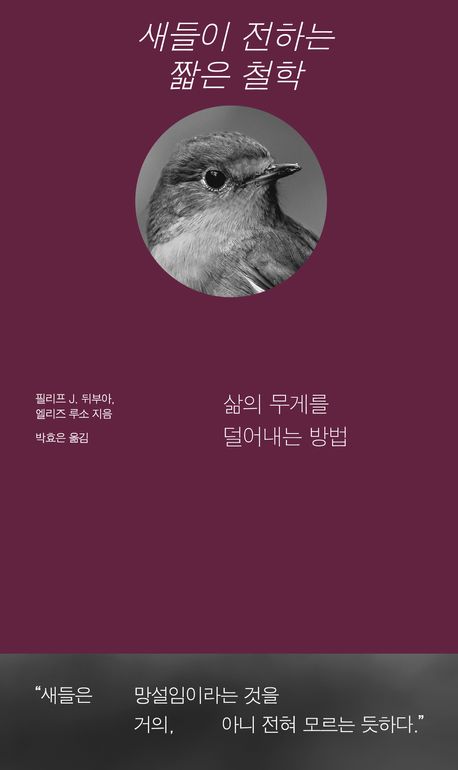 새들이 전하는 짧은 철학 : 삶의 무게를 덜어내는 방법