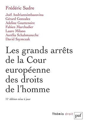 Les grands arrêts de la Cour européenne des droits de l'homme