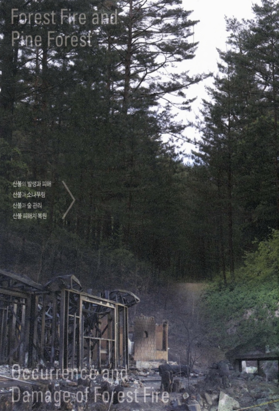 미리보기 이미지 2번째