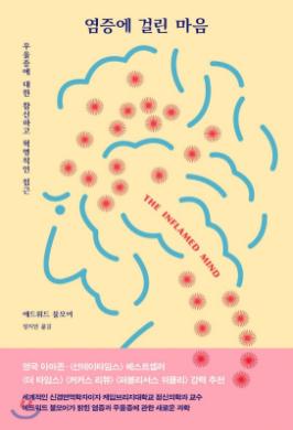 염증에 걸린 마음 : 우울증에 대한 참신하고 혁명적인 접근