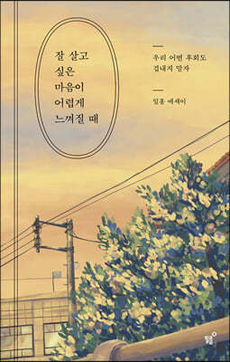 잘 살고 싶은 마음이 어렵게 느껴질 때 : 우리 어떤 후회도 겁내지 말자 : 일홍 에세이