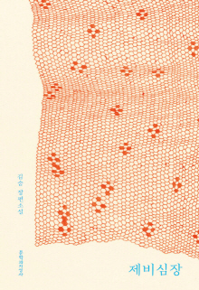 제비심장 : 김숨 장편소설
