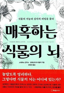 매혹하는 식물의 뇌 : 식물의 지능과 감각의 비밀을 풀다